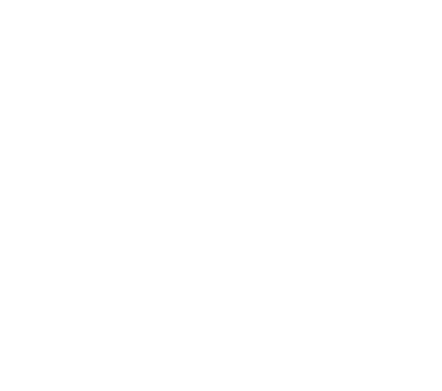 Vizion Plus