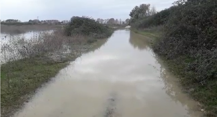 Situata e reshjeve/ Mbeten të bllokuara 7 familje në Tropojë, ka dëme edhe në bagëti. Disa ura e rrugë janë dëmtuar