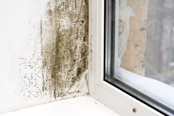 Si të hiqni me metoda natyrale mykun nga muret dhe parvazet e dritareve