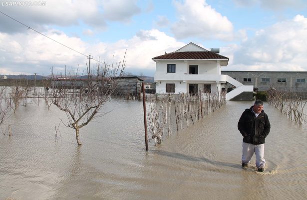 3700 hektarë ende nën ujë Shkodër, situatë më e mirë në Fushë-Krujë
