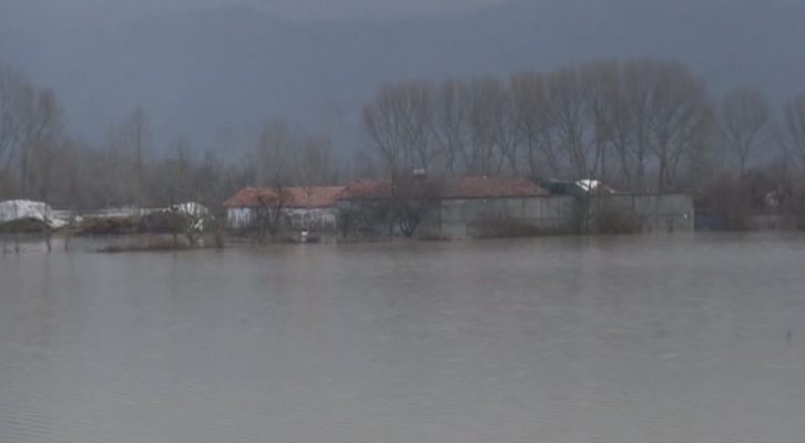 Reshjet e dendura rikthejnë përmbytjet në fshatrat e Shkodrës