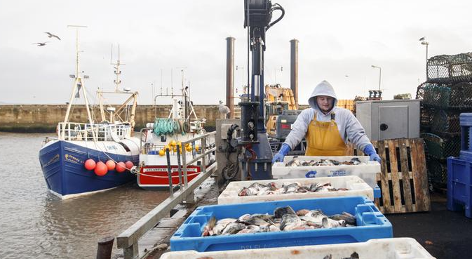 Post-Brexit: Peshkatarët britanikë në gjendje të keqe