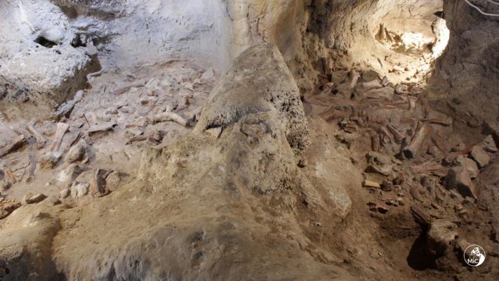 Zbulim historik/ Gjeten në Itali 9 fosile që i përkasin njeriut Neandertal