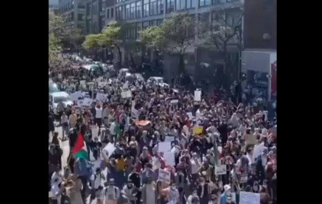 Përplasja Izrael-Palestinë “zhvendoset” në Kanada/ Protestuesit përleshen me njëri-tjetrin