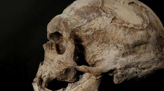 Izrael/ Fosilet e reja të Neandertalit rishkruajnë historinë e evolucionit njerëzor