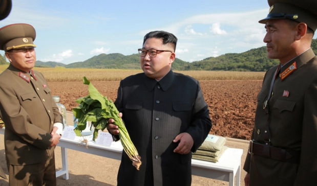 Situatë alarmante në Korenë e Veriut, ushqimi mund të mbarojë për dy muaj