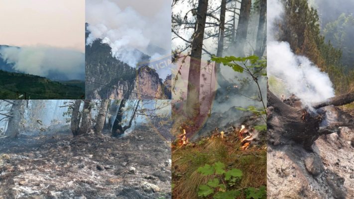 U dogjën hektarë me pisha/ Zjarrin në Malin e Tomorrit e ndezën banorët
