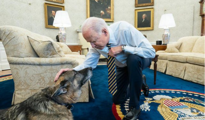 Joe Biden i pikëlluar, i ngordh qeni me të cilin kishte jetuar prej 13 vitesh