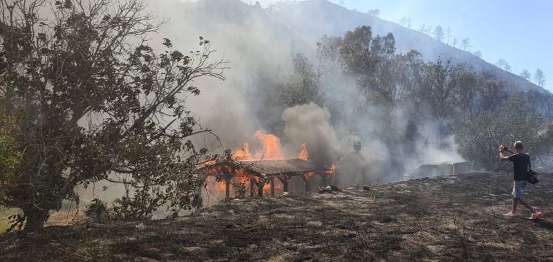 Zjarr i madh në Qipro, katër persona të vdekur