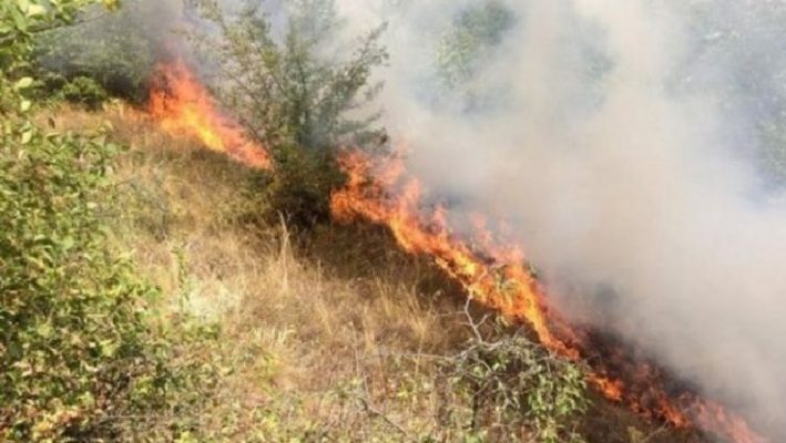 Riaktivizohet vatra e zjarrit në Gjirokastër/ Flakët iu afrohen banesave