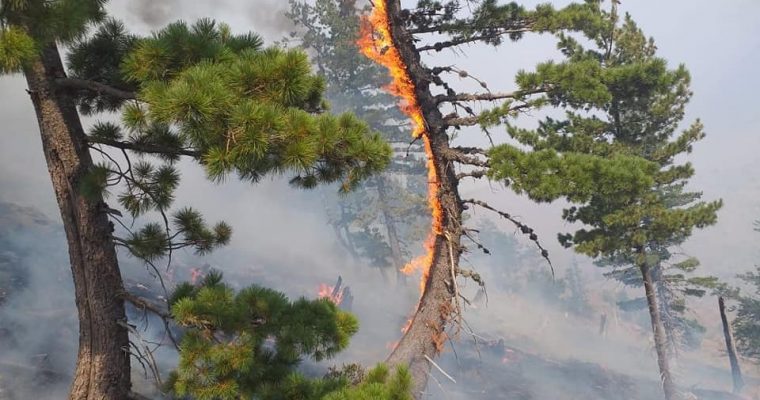 Dhjetëra vatra aktive zjarri në mbarë vendin/ Problematikat më të mëdha në Mirditë dhe Himarë