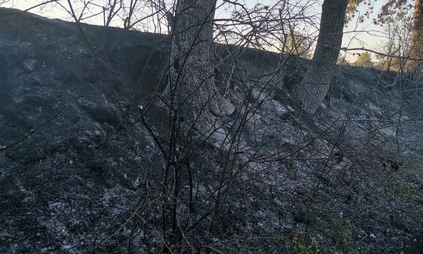 Shënohet viktima e parë nga zjarret në Kosovë/ Policia: Kishte shkuar te stalla…