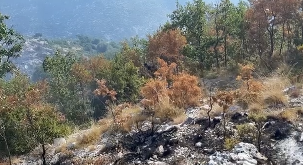Zjarret/ 300 forca ngjiten drejt malit të Karaburunit, rrezikohet Parku i Llogorasë
