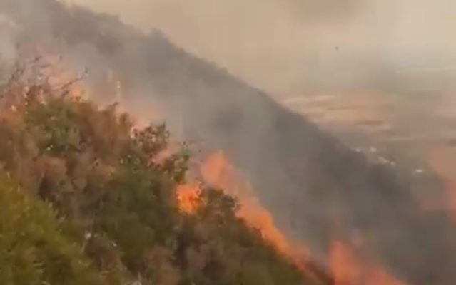 Situata nga zjarri në Gjirokastër, jashtë kontrollit/ Peleshi urdhër: Të evakuohen banorët