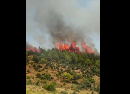 Zjarri rrezikon banesat në Mamurras/ Kryebashkiakja: Katastrofë, vatrat janë nën kontroll