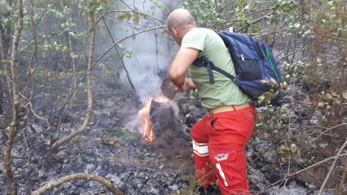 “Zjarri rrezikon Parkun Kombëtar të Shebenik-Jabllanicës”/ Peleshi: Të angazhuar për fikejn edhe maqedonasit
