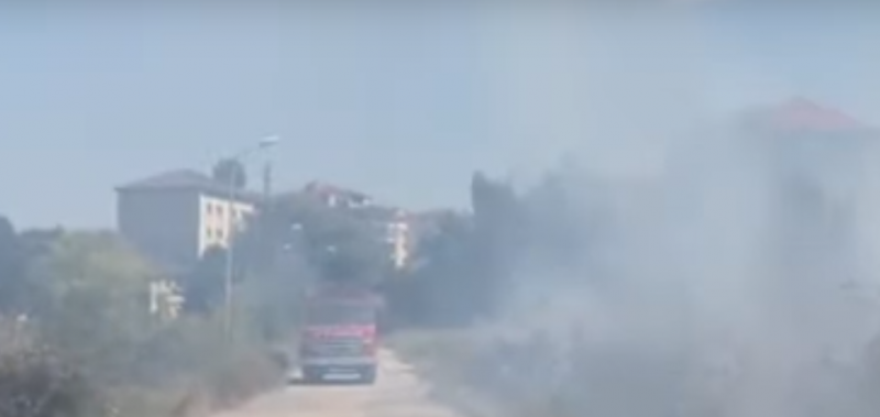 Zjarr pranë konvikteve në Korçë/ Digjen disa hektarë pyje në Kolonjë