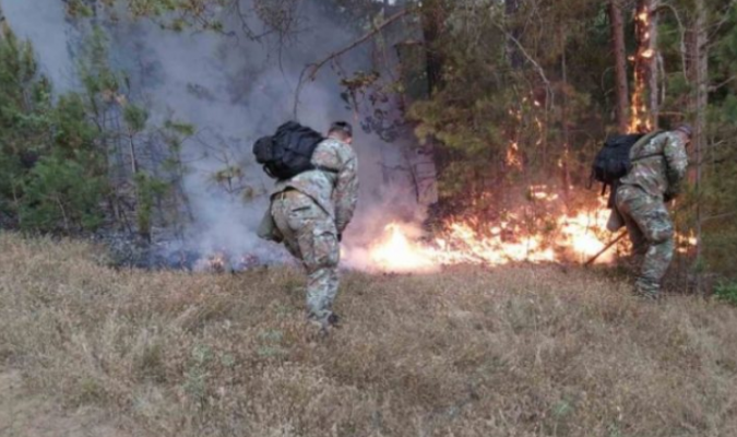 Maqedonia e Veriut arreston zjarrvënësit, në pranga edhe një shqiptar