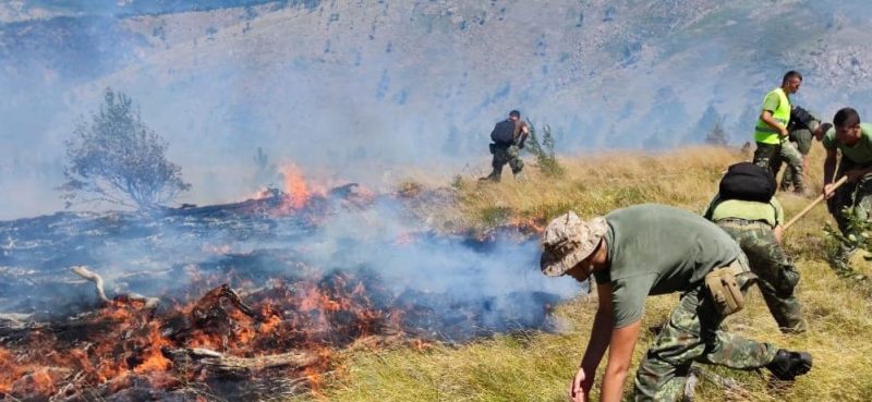 Peleshi: Era po përhap zjarrin, nuk ka rrezik për zonat e banuara