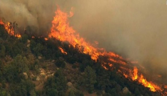 Zjarr në fshatin Duhanas në Berat/ Flakët përpijnë tokat bujqësore, në rrezik nënstacioni elektrik