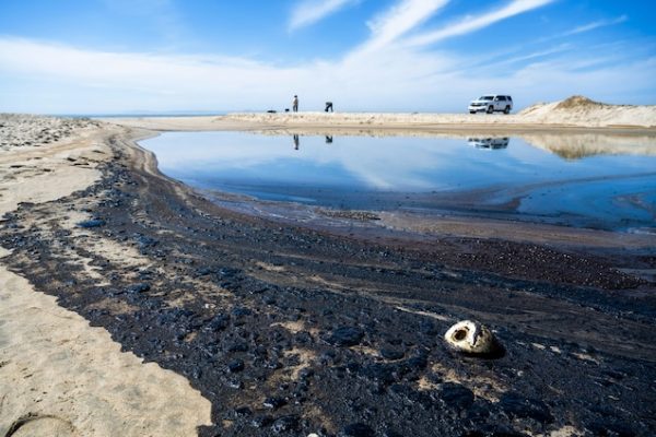 Dramë ekologjike në brigjet e Kalifornisë/ Mbi 500 mijë litra naftë u derdhën në det