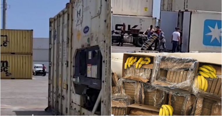 Ekspertët: SPAK ka dështuar në kapjen e porositësve të kokainës në portin e Durrësit