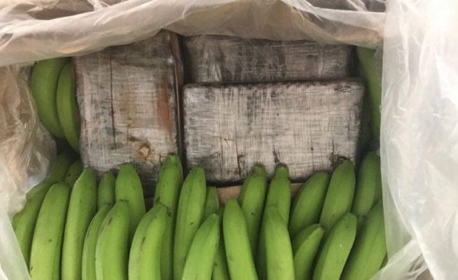 Kokainë në bananet e “Alba Exotic Friut”/ Administratori i kompanisë kërkoi masë të butë sigurie, Gjykata e Lartë e lë në qeli