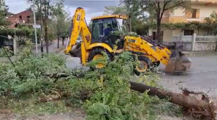 Shkatërrime nga stuhia në Korçë/ Era e fortë dëmton çatitë dhe pemët dekorative
