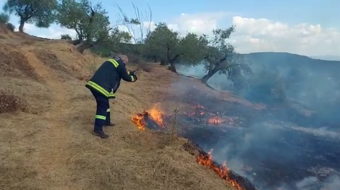 Disa vatra zjarri në Lezhë/ Flakët u afrohen banesave në zonën e Tales