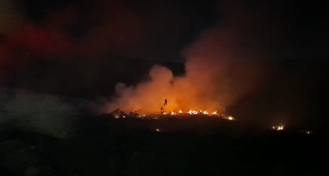 Zjarr në tokat bujqësore në Berat/ Zjarrfikësit në luftë me flakët që po i afrohen serave e banesave