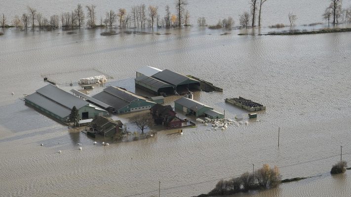 Tre viktima nga stuhitë që kanë goditur Kanadanë