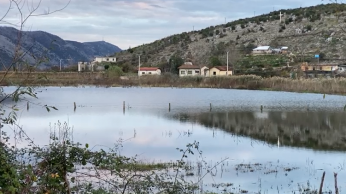Një mijë hektarë tokë nën ujë/ Shkodër, shkatërrohen të mbjellat e bllokohen rrugët