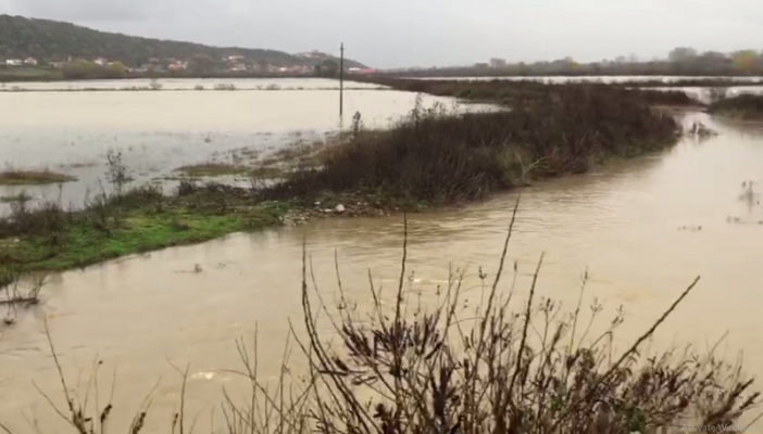 Përmbyten qindra hektarë tokë bujqësore në Shkodër