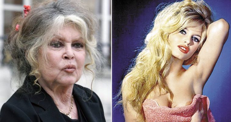 Ikona e kinematografisë Brigitte Bardot refuzon vaksinën e Covid: Vdekja herët apo vonë do të vijë…
