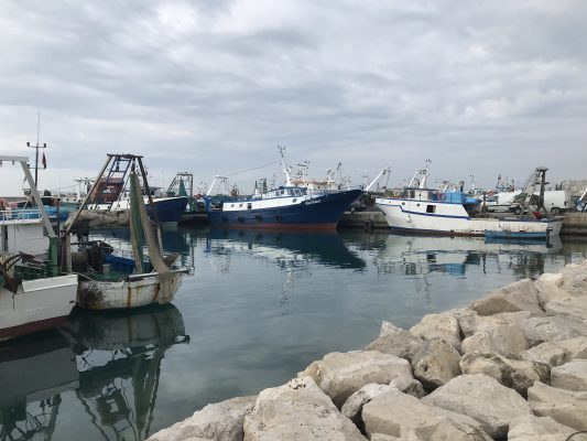 Aksion në Portin e Durrësit/ Kapen mallra kontrabandë nga Italia. Ndalohen 4 persona, sekuestrohet karburant, verë, parfume…