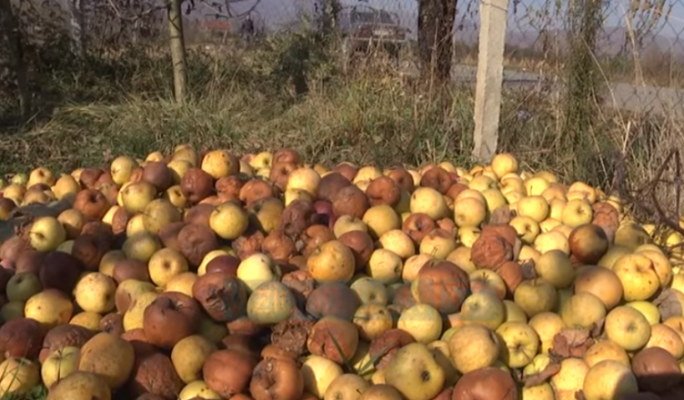 Nuk ka treg për mollët në Dibër, fermerët ankohen për çmimin e lartë të plehrave kimikë