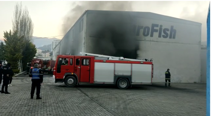 Zjarr i frikshëm në fabrikën e peshkut në Lezhë