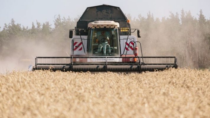 Rusia do të bllokojë eksportet e sheqerit, grurit dhe misrit