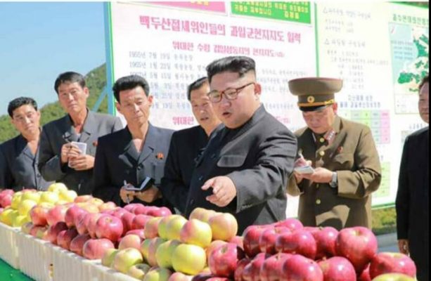 Inspektimi i Ramës në markete/ Vasili krahason kryeministrin me Kim Jong-un