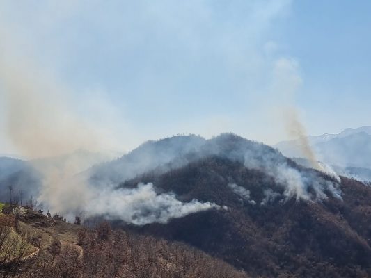 Klos/ Vazhdon djegia e masivit pyjor në Suç, banorët kërkojnë ndërhyrje nga ajri
