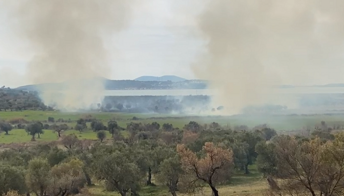 Zjarr i madh në ullishtat e fshatit Bestrovë në Vlorë