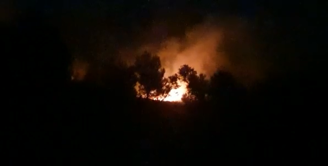 Zjarr në Vlorë/ Digjen pisha dhe rrënjë ulliri