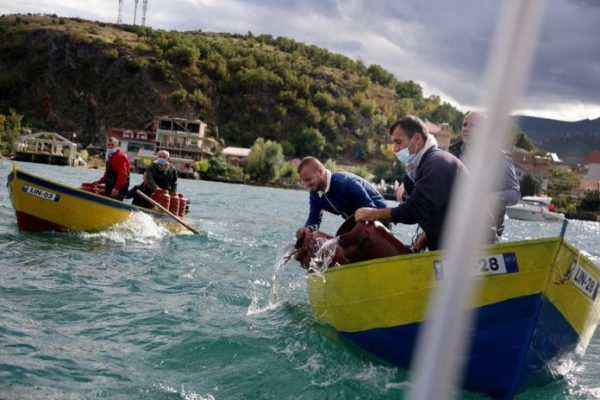 “Të unifikohet sezoni i gjuetisë”/ Specialistët: Rrezikohet riprodhimi në Liqenin e Ohrit
