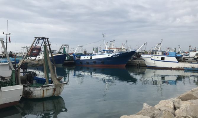 Peshkatarët, një muaj pa punë/ Çmimi i naftës i ka detyruar të mbyllin anijet