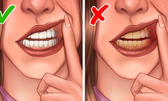 Pse është e mjaftueshme të lani dhëmbët vetëm një herë në ditë/ Ja çfarë thonë ekspertët
