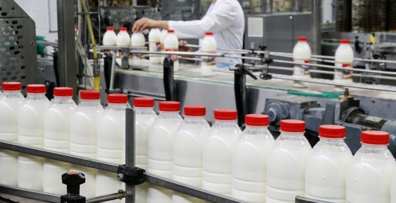 Edhe qumështi në krizë/ Fabrikat e përpunimit: Eshtë shtrenjtuar, po falimentojmë