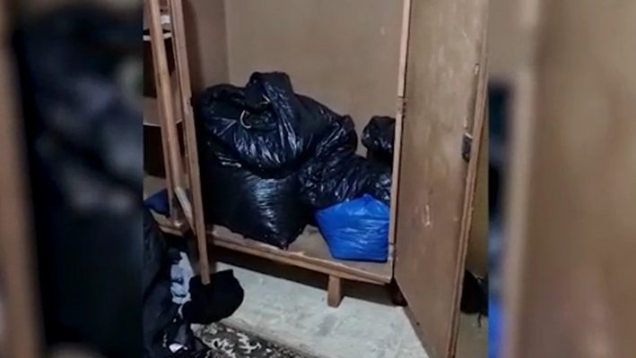 Grabitën varësen e një gruaje dhe iu gjetën 23 kg kanabis në banesë/ Arrestohe katër të rinj në Tiranë