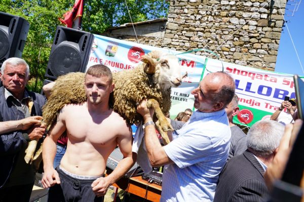 Fituesi merr dashin/ Vijon tradita e kupës së mundjes së lirë në Gollobordë