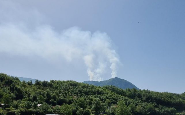 Zjarr masiv në Qafmollë, pjesë e parkut Kombëtar të Dajtit