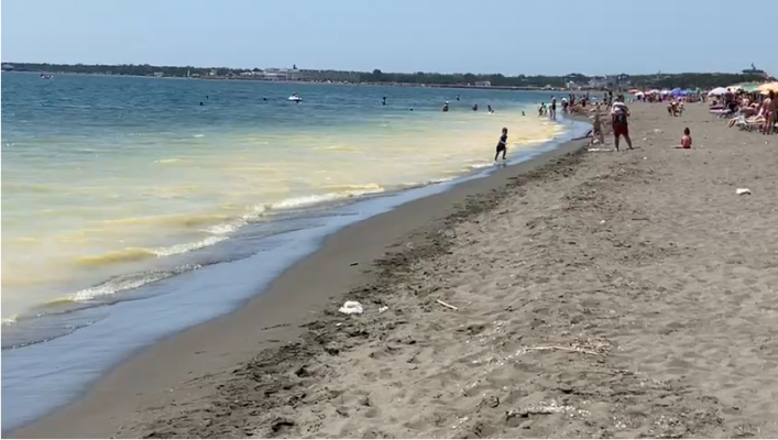 Uji i verdhë në bregdetin e Velipojës/ Eksperti i mjedisit zbulon shkakun
